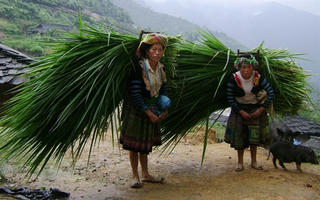 Xuân về ấm áp
