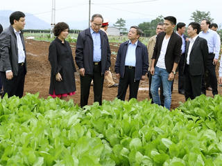 BẢN TIN MẶT TRẬN: Chuẩn bị nội dung sơ kết 3 năm thực hiện Luật Hợp tác xã 2012