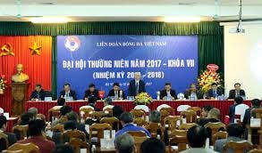 Đại hội VFF: Hoãn và những hệ lụy