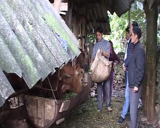 Yên Minh phấn đấu có thêm 6,7% hộ thoát nghèo