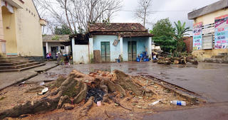 Đốn hạ cây đổ đè sập nhà, một người tử vong