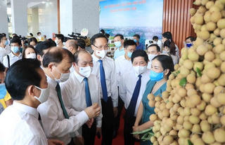 Kết nối cung cầu tiêu thụ nhãn và nông sản