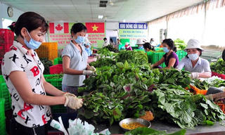 Quảng Bình: 23 hợp tác xã chuyển đổi theo Luật Hợp tác xã năm 2012