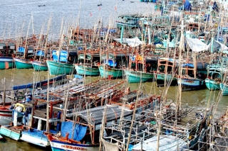 Ô nhiễm cửa biển Sông Đốc