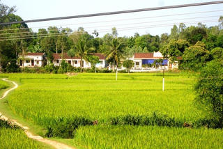 Đến cuối năm 2015 Quảng Nam có 44 xã đạt chuẩn nông thôn mới