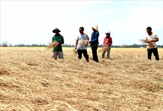 Thiếu vốn triển khai các dự án ứng phó biến đổi khí hậu