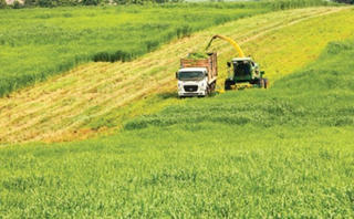 Tiếp sức để nông nghiệp khởi sắc