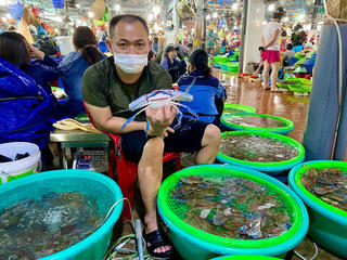 Vắng khách du lịch, hải sản Quảng Ninh rẻ chưa từng có 