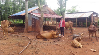 Ứng trước niềm tin