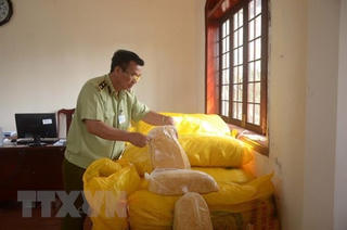 Đắk Nông tạm giữ hơn một tấn ruốc thịt không rõ nguồn gốc