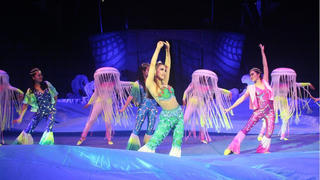 Liên đoàn Xiếc Việt Nam huỷ 38 show diễn vì dịch Covid-19