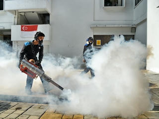 Singapore xác nhận thêm 2 trường hợp nhiễm virus Zika trong nước