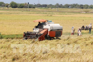 Tây Ninh: Tỷ lệ hộ nghèo hàng năm giảm 1,3%
