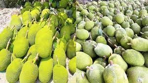 Khi nông dân vào cuộc ‘chuyển đổi số’