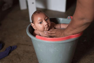WHO cảnh báo khả năng virus Zika lan ra toàn cầu