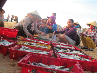 Sớm hoàn thành chi trả  bồi thường sự cố môi trường biển