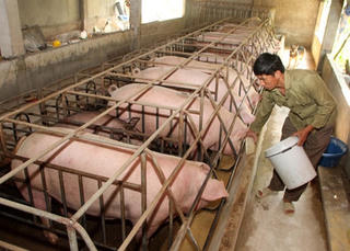 Thanh lọc chính sách bất hợp lý