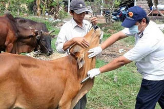 Cảnh giác bệnh nhiệt thán