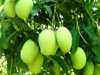 Xây dựng thương hiệu: Yếu tố sống còn của doanh nghiệp