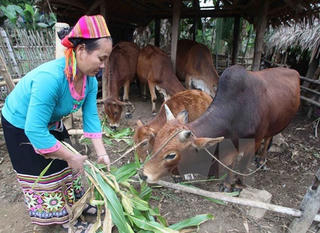 Nghèo không chỉ là thu nhập thấp