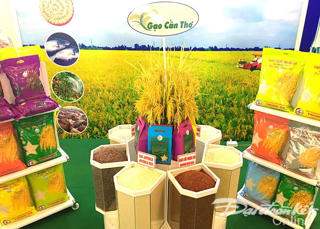 Xây dựng quy chế nhãn hiệu quốc gia cho gạo Việt
