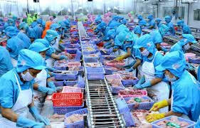 EVFTA và những cơ hội mang lại