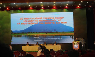 Giải pháp cho mô hình điểm phát triển chuỗi giá trị nông nghiệp
