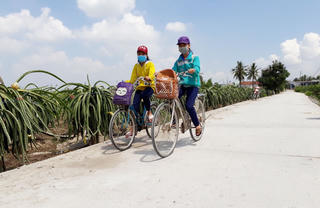 Long An: Phấn đấu 89 xã đạt nông thôn mới vào năm 2020