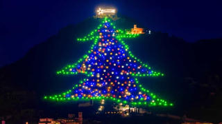 [ẢNH] Chiêm ngưỡng những cây thông Noel tuyệt đẹp trên khắp thế giới