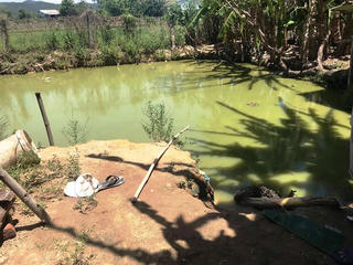 Quảng Nam: 2 người đàn ông bị điện giật tử vong