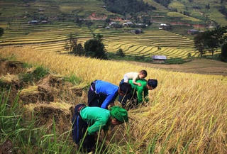 Bình yên  Tả Phìn