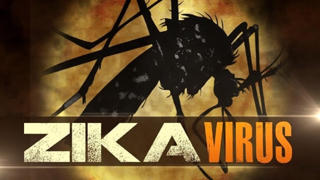 WHO: Đại dịch Zika sắp diễn biến tồi tệ hơn