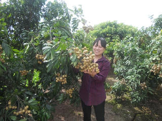 Chuyện của Đông Kết