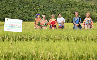 Phấn đấu hết năm 2017: Cả nước còn khoảng 7% hộ nghèo