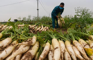 Thoát vòng luẩn quẩn ‘giải cứu’