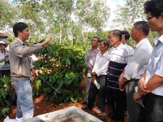 Ứng dụng công nghệ cao phát triển cây cà phê