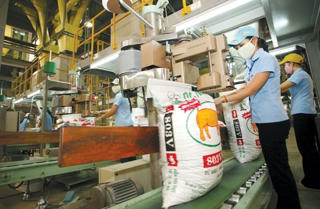 Sôi động thị trường thức ăn chăn nuôi