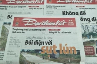 Thông báo Thi tuyển Tổng Biên tập Báo Đại Đoàn Kết