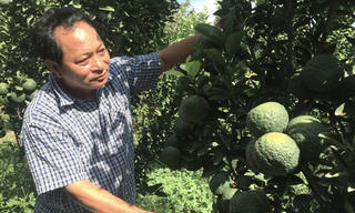 Lão nông không cam chịu nghèo khó