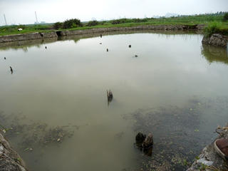 Bảo tồn Khu di tích chiến thắng Bạch Đằng