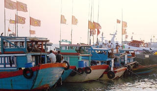 Quảng Ngãi: Gần 44 tỷ đồng hỗ trợ chính sách khai thác, hải sản cho ngư dân