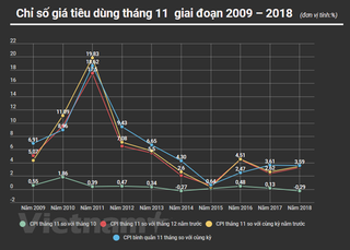 CPI trong tháng 11 giảm 0,29% so với tháng trước