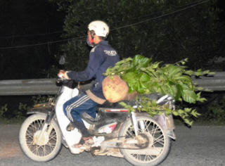 Hai lâm tặc tông nhau, một chết một nguy kịch