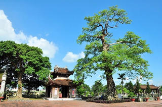 Bài 3: TS Tô Duy Hợp: Đừng định lượng văn hóa