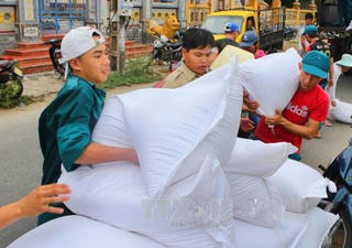 Xuất cấp gạo cho các địa phương dịp Tết