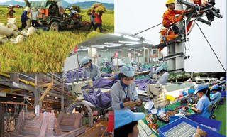 Năm mới, vận hội mới