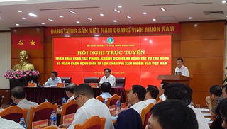 Khẩn trương các biện pháp phòng, chống dịch tả lợn châu Phi