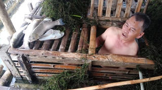 Bộ Nông nghiệp tìm nguyên nhân thủy sản đồng loạt chết bất thường