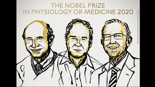Khép lại mùa Nobel trong đại dịch