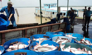 Xuất khẩu nông nghiệp gặp khó